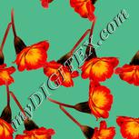 Colour:J