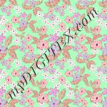 Colour:B