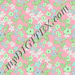 Colour:C