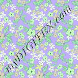 Colour:D