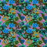 Colour:F