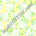 Colour:K