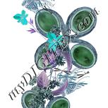 Colour:F
