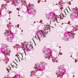 Colour:B