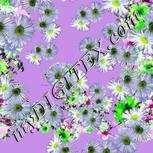Colour:D