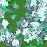 Colour:C