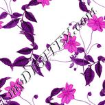 Colour:B