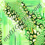 Colour:F