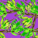 Colour:D