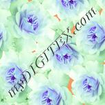 Colour:K