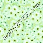 Colour:K