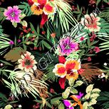 Colour:A