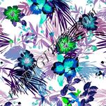 Colour:F