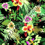 Colour:K