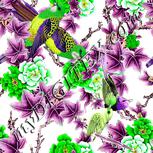 Colour:D