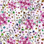 Colour:B