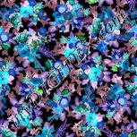 Colour:F