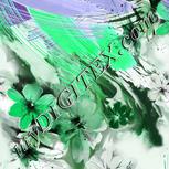 Colour:C