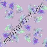 Colour:C