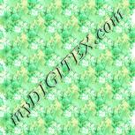 Colour:K