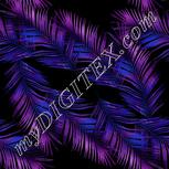 Colour:C