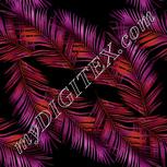 Colour:D