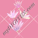 Colour:J