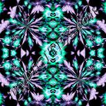Colour:F