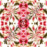 Colour:J
