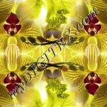 Colour:A