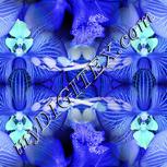 Colour:F