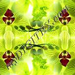 Colour:K