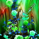 Colour:C