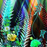 Colour:C