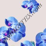 Colour:A