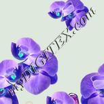 Colour:D