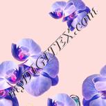 Colour:J