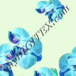 Colour:K