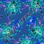 Colour:F