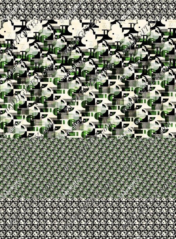 D019050