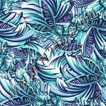 Colour:B