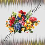 Colour:A