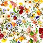 Colour:A