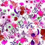 Colour:B