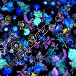 Colour:F