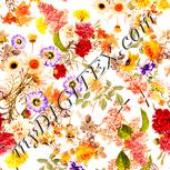 Colour:J