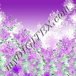 Colour:A