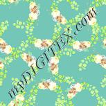 Colour:K