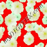 Colour:K