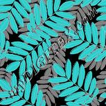 Colour:F